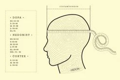 Hedon Hedonist CRÈME Motorcycle Helmet 9 Hedon Hedonist CRÈME Motorcycle Helmet -Helmets Open Face Sales 16837 4